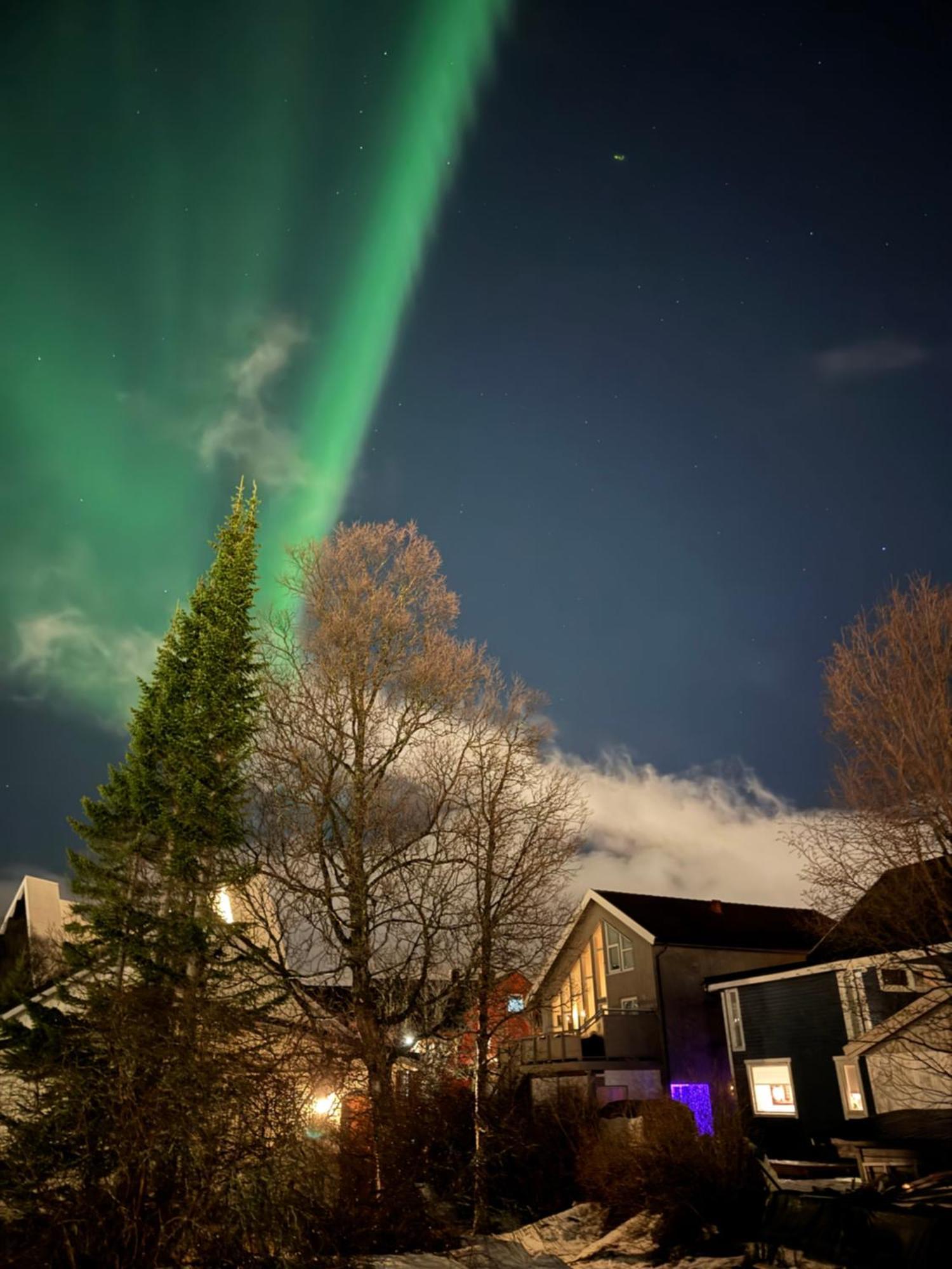Luxury Apartment Vip Northern Lights Trip ทรอมโซ ภายนอก รูปภาพ